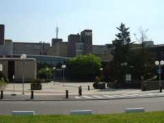 Telecom Ecole de Management