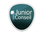 Ipag Junior Conseil